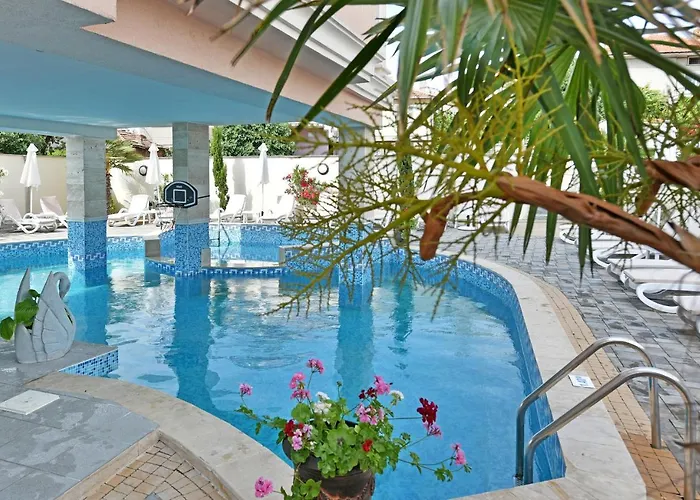 сирена палас Ceмеен 3* Обзор