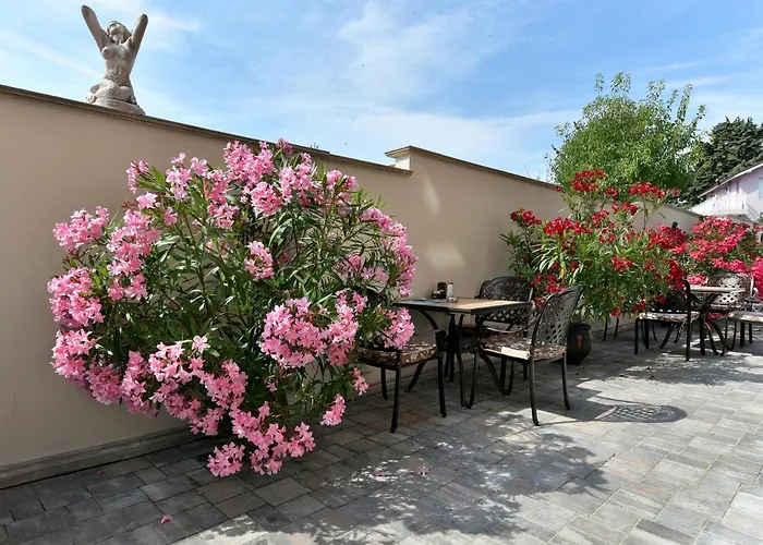 сирена палас Ceмеен 3*